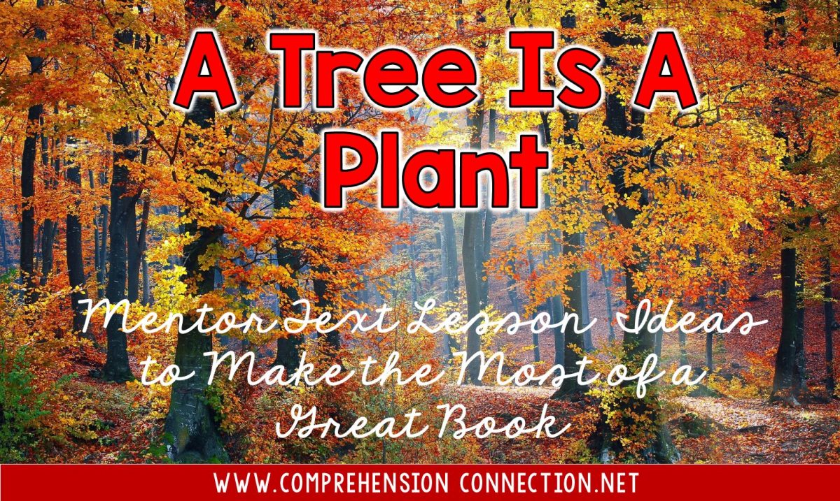 a2btree2bis2ba2bplant2bpost2bimage-8161015