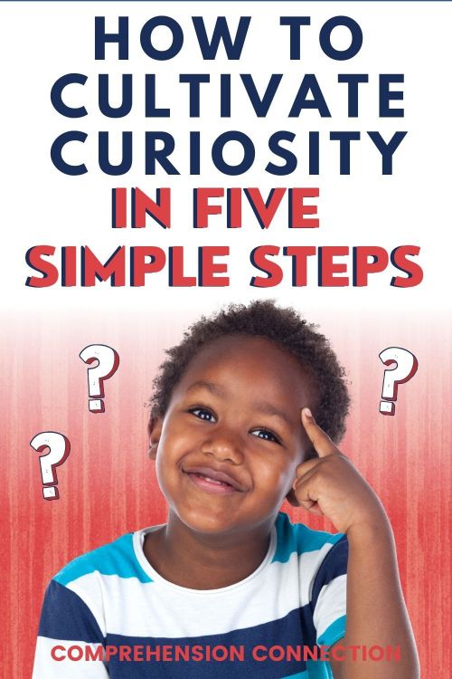 Example of curiosity in life image