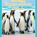 Kids love penguins. They are fascinating. This post offers teaching resources, book titles, and freebies for a fantastic Penguin week.