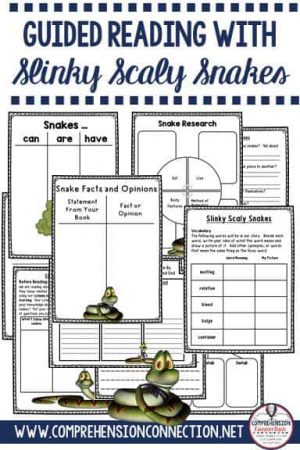 Slinky scaly snakes is a great nonfiction book to use as a mentor text. In this post, I explain the skills you can teach using it.