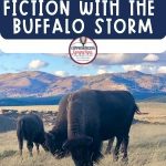 Teaching historical fiction is best done with great mentor texts. The Buffalo Storm by Kathleen Applegate is a great choice if you're modeling. This post gives information about the book and includes a free resource for your lesson.