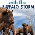 Teaching historical fiction is best done with great mentor texts. The Buffalo Storm by Kathleen Applegate is a great choice if you're modeling. This post gives information about the book and includes a free resource for your lesson.