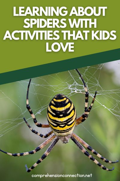 Learning about Spiders with Activities that Kids Love pin