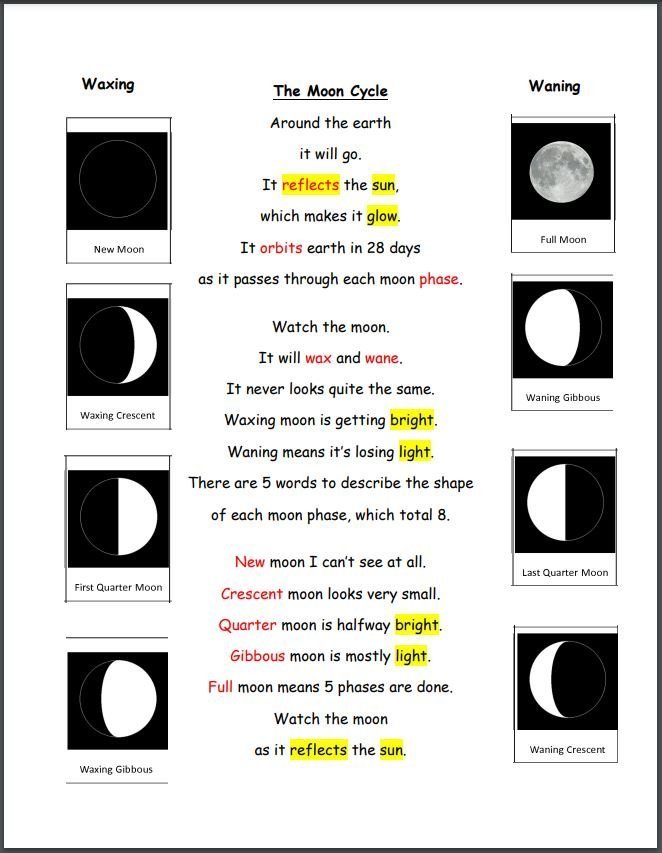 Fun Space Themed Activities for the Middle Grades 7 Fun Space Themed Activities for the Middle Grades