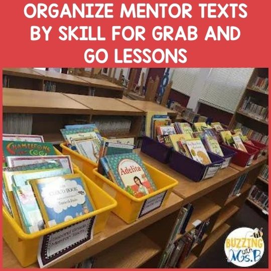 7 Organizational Tips for Increasing Teacher Productivity and Saving Valuable Time 7 7 Organizational Tips for Increasing Teacher Productivity and Saving Time-ORGANIZE MENTOR TEXTS BY SKILL